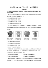 豫东2022-2023学年高一历史上学期12月质量检测试卷（Word版附解析）