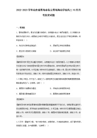 2022-2023学年山东省青岛市私立青岛海山学校高二10月月考历史试题含解析