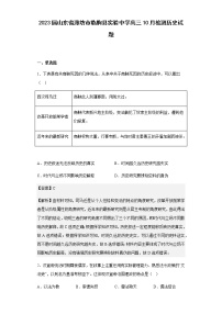 2023届山东省潍坊市临朐县实验中学高三10月检测历史试题含解析