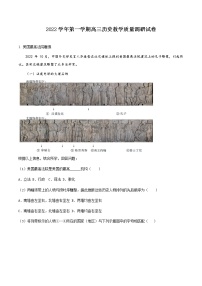 2023上海长宁区高三上学期教学质量调研（一模）历史试题含解析