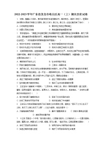 2022-2023学年广东省茂名市电白区高一（上）期末历史试卷(含答案解析)