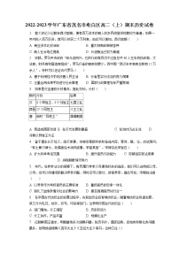 2022-2023学年广东省茂名市电白区高二（上）期末历史试卷(含答案解析）