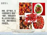第6课 全球航路的开辟课件