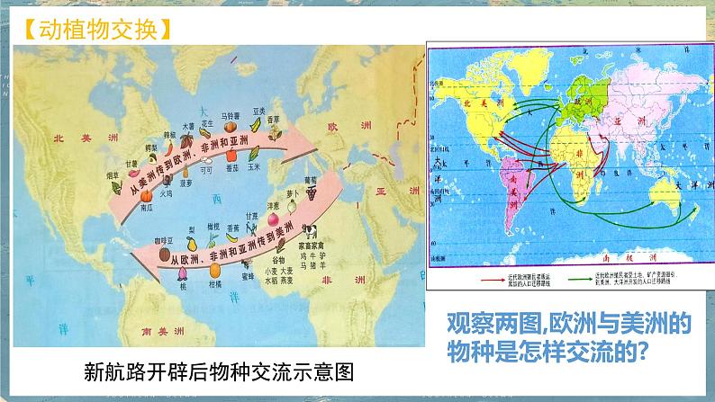 第7课 全球联系的初步建立与世界格局的演变课件PPT06