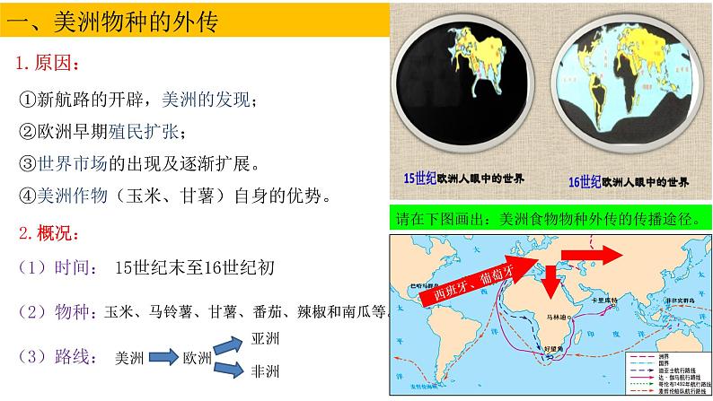 第2课 新航路开辟后的食物物种交流课件PPT03