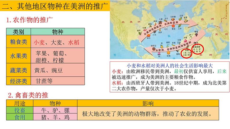 第2课 新航路开辟后的食物物种交流课件PPT07