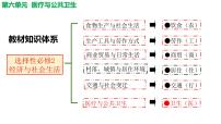 人教统编版选择性必修2 经济与社会生活第14课 历史上的疫病与医学成就教课ppt课件