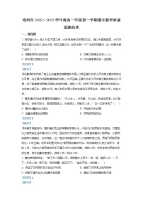 2022-2023学年河北省沧州市高一上学期期末考试历史试题 （解析版）