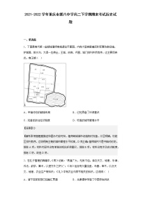 2021-2022学年重庆市第八中学高二下学期期末考试历史试题含解析