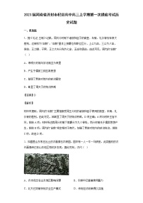 2023届河南省开封市杞县高中高三上学期第一次摸底考试历史试题含解析