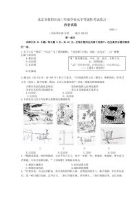 2020届北京市朝阳区高三下学期学业水平等级性考试练习（一模）历史试题 PDF版