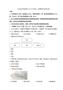 2022-2023学年山东省滨州市阳信县高一上学期期中考试历史试题（Word版）