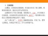 第4课　西汉与东汉——统一多民族封建国家的巩固课件PPT