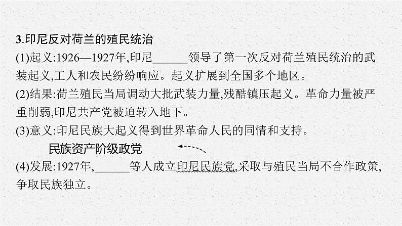 第16课　亚非拉民族民主运动的高涨课件PPT07