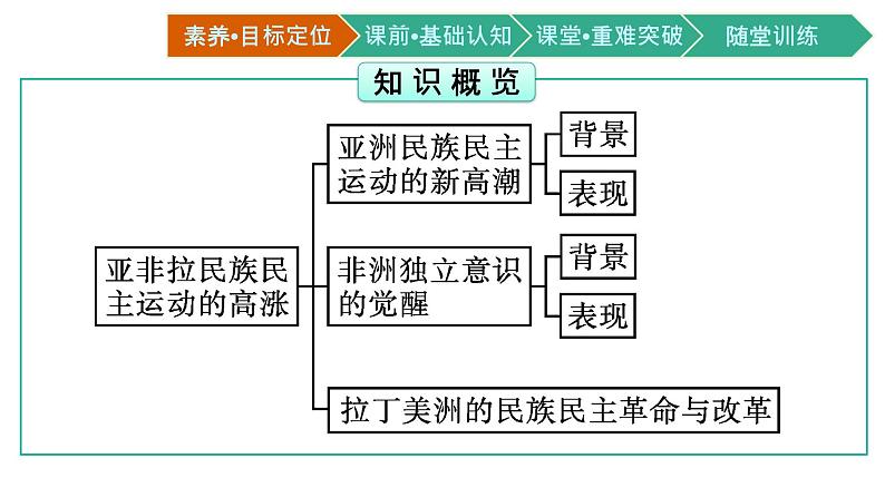 第16课　亚非拉民族民主运动的高涨课件PPT第3页