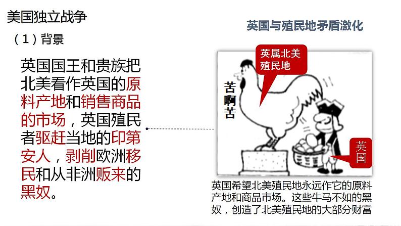 第12课 近代战争与西方文化的扩张 课件--2022-2023学年高中历史统编版（2019）选择性必修三文化交流与传播第8页