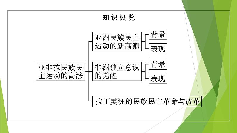 第16课　亚非拉民族民主运动的高涨课件PPT05