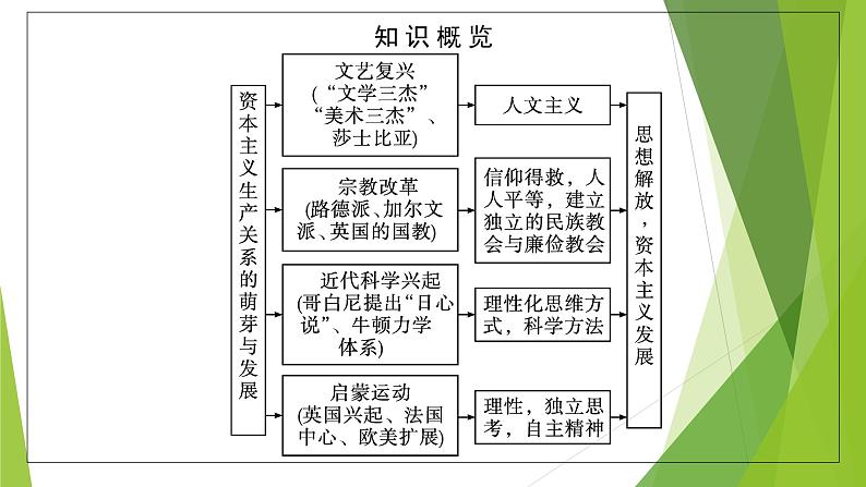 第8课　欧洲的思想解放运动课件PPT第6页