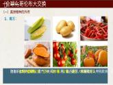 第二课 新航路开辟后的食物物种交流课件
