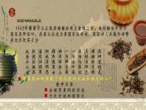 第10课 近代以来的世界贸易与文化交流的扩展 课件--2022-2023学年高中历史统编版（2019）选择性必修3文化交流与传播