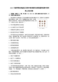 2022-2023学年湖北省鄂东南省级示范高中教育教学改革联盟学校高二下学期期中联考历史试题含答案