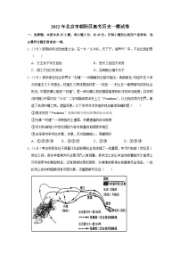 2022年北京市朝阳区高考历史一模试卷