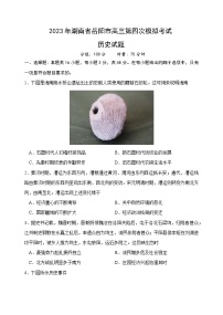 2023届湖南省岳阳市高三第四次模拟考试历史试题+