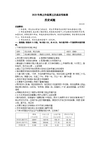 山东省青岛市2023届高三下学期第三次适应性检测（三模）历史+Word版含答案