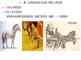第6课 古代人类的迁徙和区域文化的形成 课件--2022-2023学年高中历史统编版（2019）选择性必修3文化交流与传播