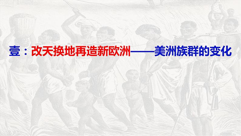 第7课 近代殖民活动和人口的跨地区转移 课件--2022-2023学年高中历史统编版（2019）选择性必修3文化交流与传播03