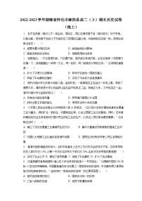 2022-2023学年湖南省怀化市麻阳县高二（上）期末历史试卷（线上）（含解析）