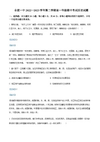 2022-2023学年安徽省合肥市第一中学高一下学期期中考试历史试题含解析