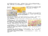 第24课全民族浴血奋战与抗日战争的胜利+教学设计--2022-2023学年高中历史统编版（2019）必修中外历史纲要上册