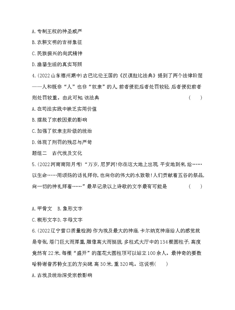 2023版高中历史选择性必修3（人教版）第二单元 丰富多样的世界文化 第3课   古代西亚、非洲文化 试卷02