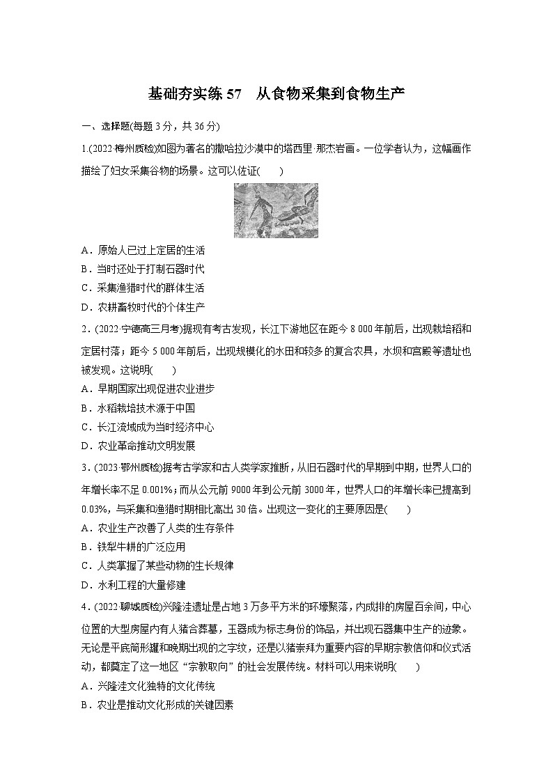 基础夯实练57 从食物采集到食物生产--2024届高三历史一轮复习第1页