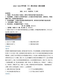 精品解析：辽宁省沈阳市联合体2022-2023学年高二下学期期末考试历史试题（解析版）