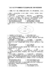 2022-2023学年高中历史统编版（2019）选择性必修2经济与社会生活期末考试训练卷