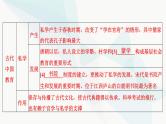 2024届高考历史一轮复习选择性必修第20单元第52讲文化的传承与保护课件