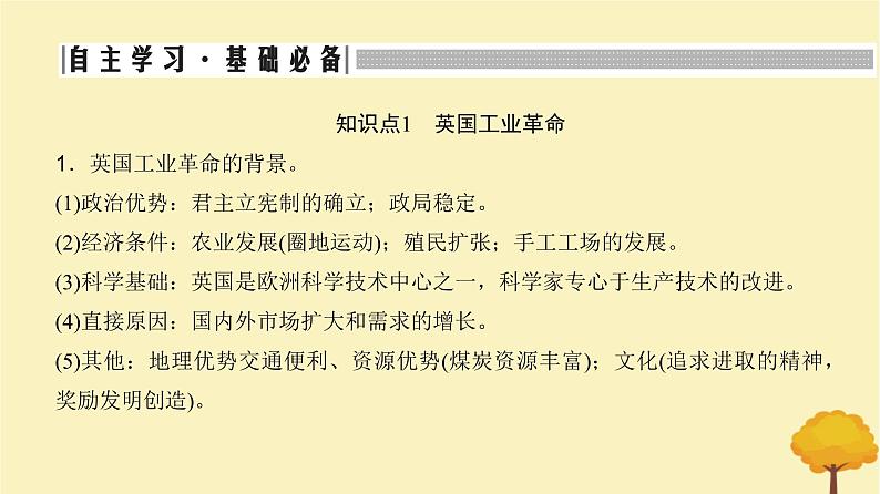 2024届高考历史一轮总复习第十单元工业革命与世界的进步潮流第26讲影响世界的工业革命课件第6页