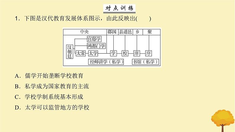 2024届高考历史一轮总复习第十五单元文化交流与传播第52讲文化的传承与保护课件第5页