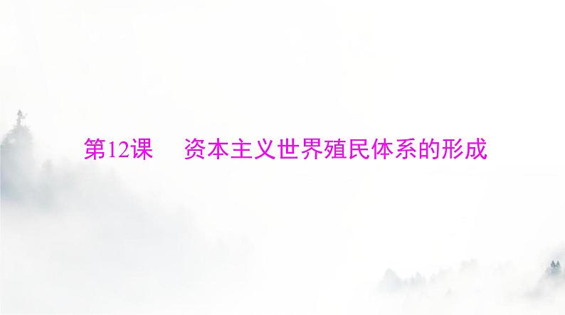 2024年高考历史一轮复习必修中外历史纲要(下)第六单元第12课资本主义世界殖民体系的形成课件第3页