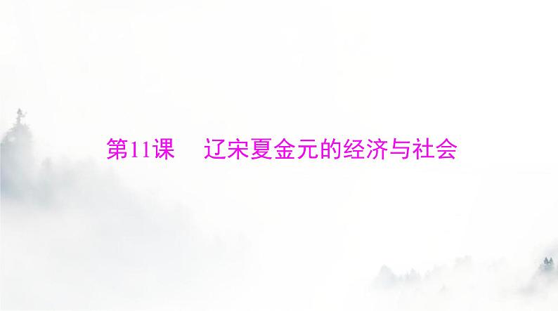 2024年高考历史一轮复习必修中外历史纲要(上)第三单元第11课辽宋夏金元的经济与社会课件第1页