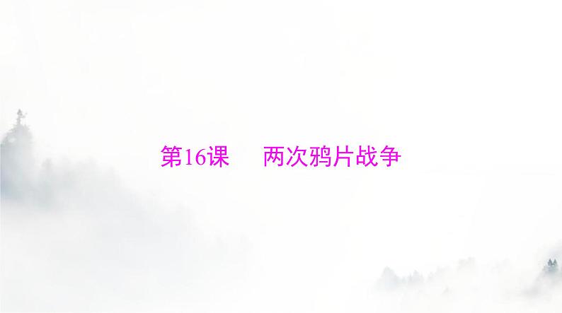 2024年高考历史一轮复习必修中外历史纲要(上)第五单元第16课两次鸦片战争课件第3页