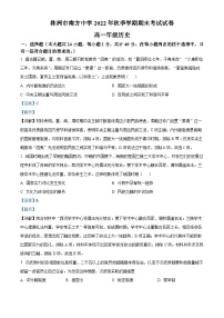 湖南省株洲市南方中学2022-2023学年高一上学期期末考试历史试题（解析版）