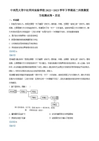 云南省红河州中央民族大学附属中学红河州实验学校2022-2023学年高二下学期期末考试历史试题（解析版）