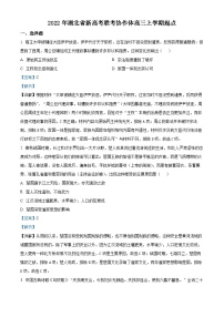 2023湖北省新高考联考协作体高三上学期起点考试历史试题-含解析