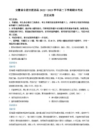 安徽省合肥市肥西县2022-2023学年高二历史下学期期末考试试题（Word版附解析）