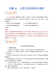 专题18  人类文化的传承与保护（解析版）-备战2023年高考历史一轮复习考点微专题（新高考地区专用）