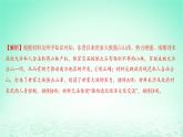 江蘇專版2023_2024學(xué)年新教材高中歷史第二單元三國兩晉南北朝的民族交融與隋唐統(tǒng)一多民族封建國家的發(fā)展單元培優(yōu)練課件部編版必修中外歷史綱要上