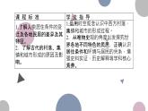 第10课 古代的村落、集镇和城市 课件--2022-2023学年高中历史统编版（2019）选择性必修二经济与社会生活